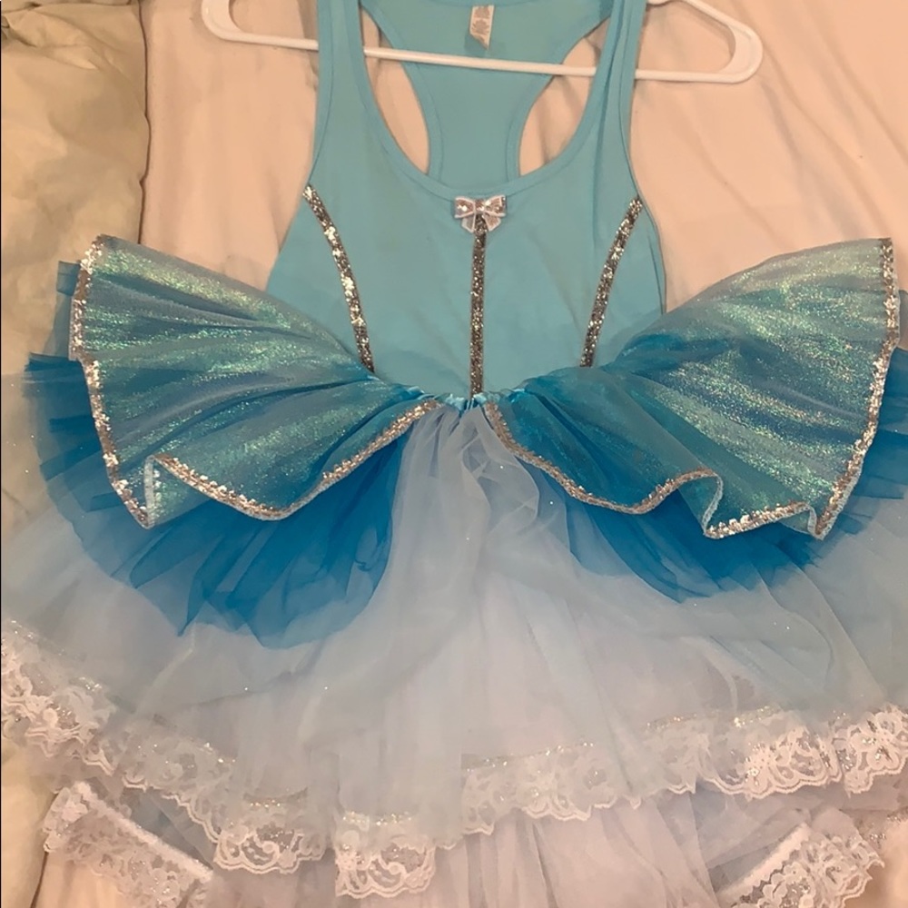 Cinderella RunDisney Costume